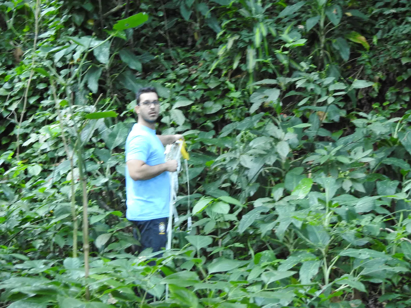 Lucas Jordão procurando e examinando plantas em meio à vegetação